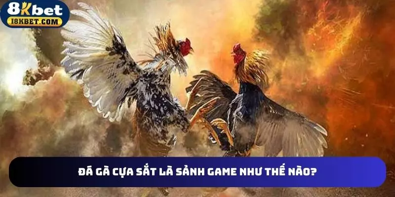 Vài nét cơ bản về đá gà cựa sắt online